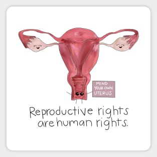 Reproductive Rights Magnet